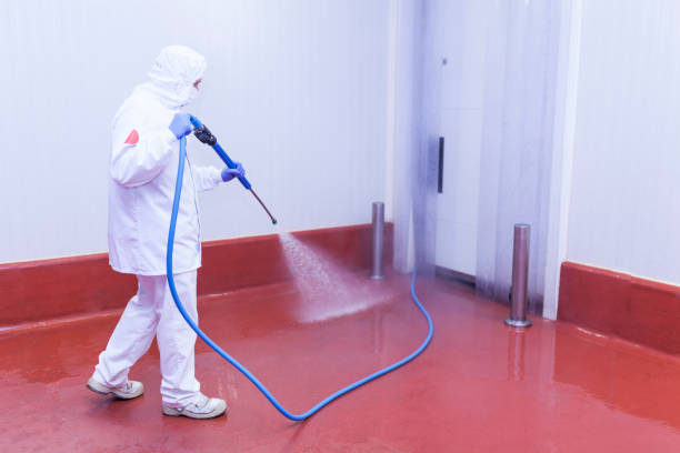 Best Paint Preparation  in Desert Edge, CA