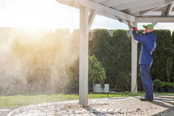Best Sidewalk and Walkway Cleaning  in Desert Edge, CA